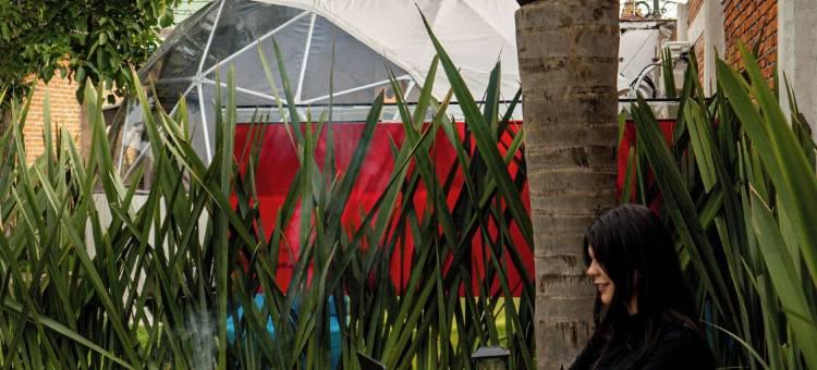 豪华露营乔卢拉(Glamping Cholula)图片