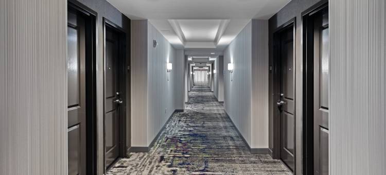 休斯顿能源走廊希尔顿安泊酒店(Embassy Suites by Hilton Houston Energy Corridor)图片