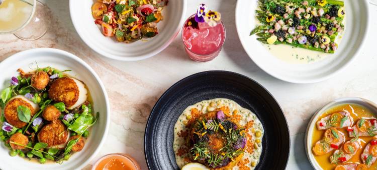 佐拉格芮希尔顿精选酒店(Hotel La Jolla, Curio Collection by Hilton)图片