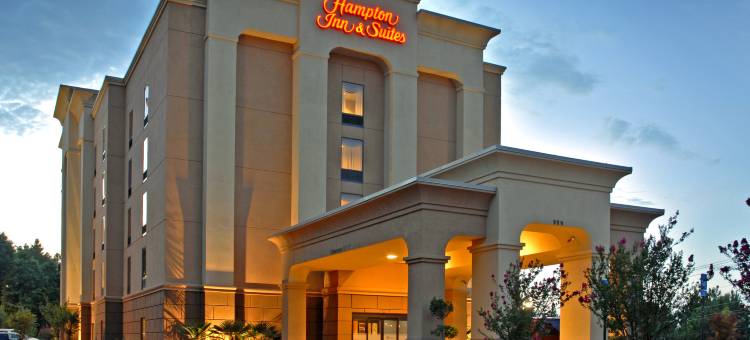 亚特兰大六旗游乐园希尔顿欢朋旅馆&套房酒店(Hampton Inn & Suites ATL-Six Flags)图片