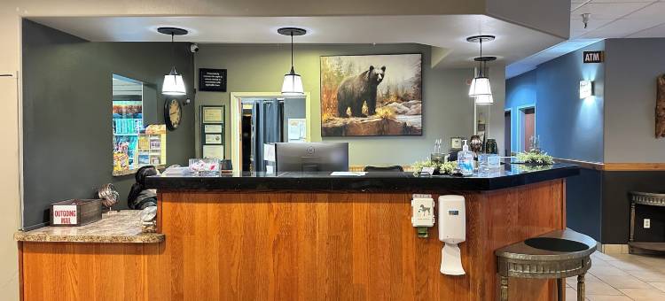 优美景观套房酒店(Grand View Inn & Suites)图片