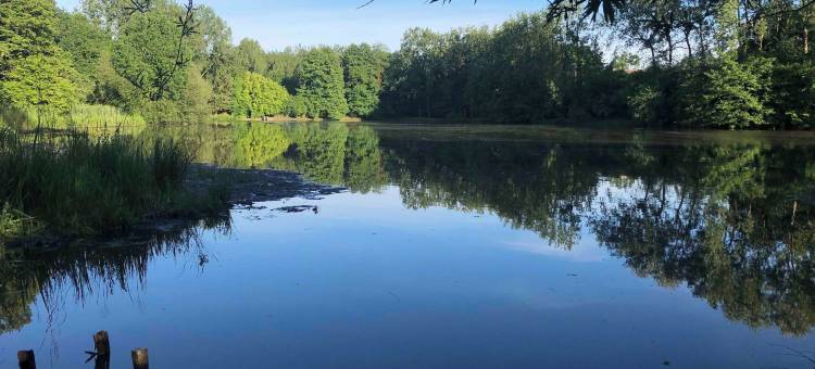 莱斯雷弗莱罗兹(Les Reflets Roz)图片