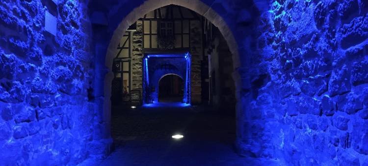 Apartment in Riquewihr with Terrace图片