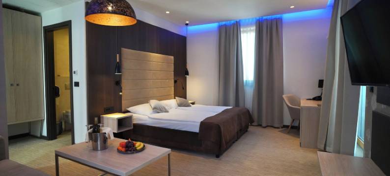 加勒斯酒店(Hotel Gallus)图片