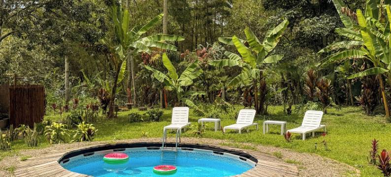 埃尔尼多安第诺(El Nido Andino)图片