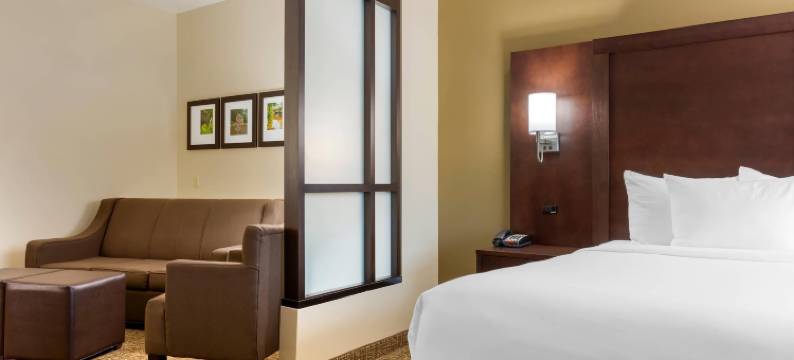 舒适套房酒店-小石城西(Comfort Suites Little Rock West)图片