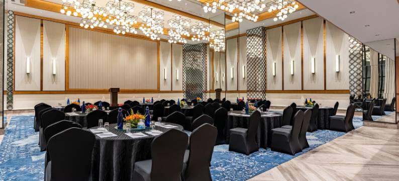 丽笙酒店普拉亚格拉杰(Radisson Hotel Prayagraj)图片