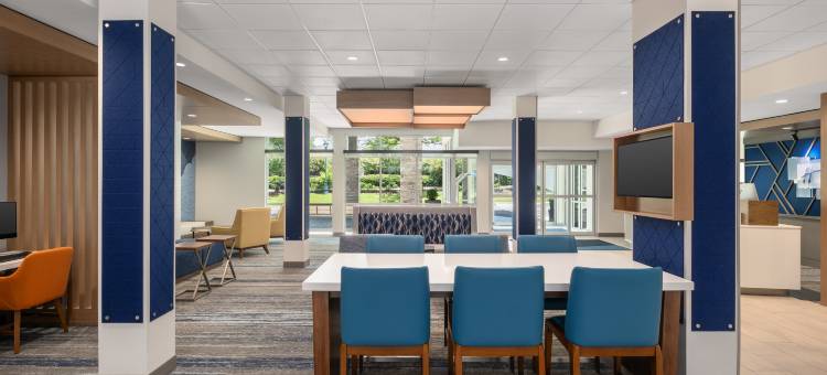 布福德乔治亚商城智选假日套房酒店(Holiday Inn Express & Suites BUFORD – MALL OF GEORGIA)图片