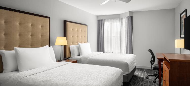 希尔顿旗下杜勒斯北-劳登家园套房酒店(Homewood Suites by Hilton District of Columbia - Dulles-North/Loudoun)图片