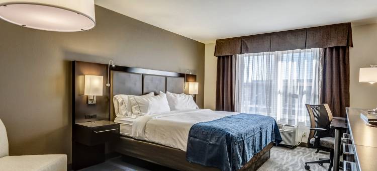 智选假日套房酒店圣路易斯西奥法隆(Holiday Inn Express & Suites ST. Louis West-O'Fallon)图片