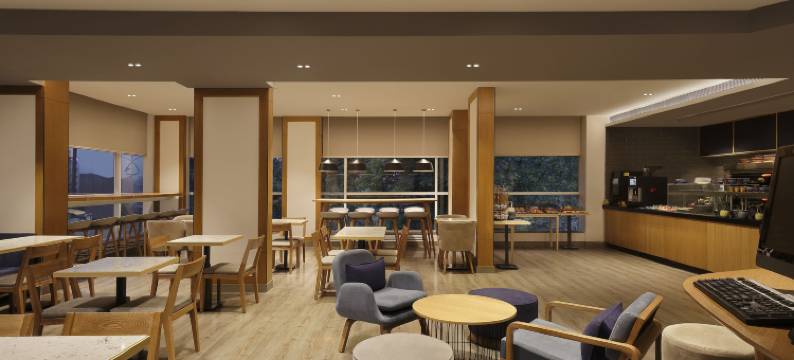 浦那宾布里智选假日酒店(Holiday Inn Express Pune Pimpri)图片