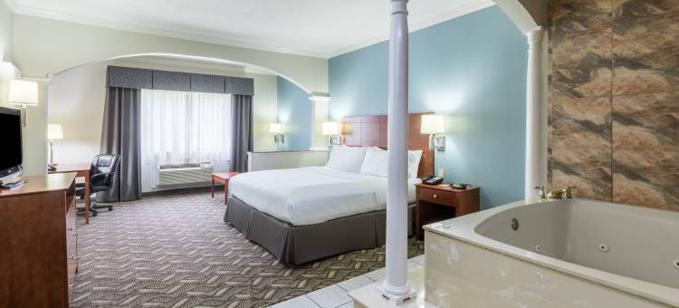 智选假日套房酒店查尔斯湖(Holiday Inn Express & Suites LAKE CHARLES by IHG)图片