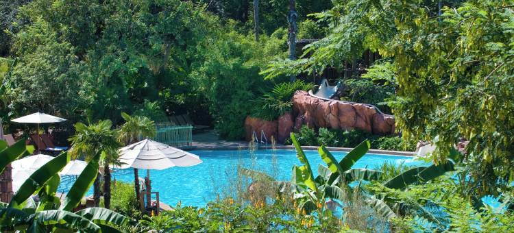 迪士尼动物王国小屋(Disney's Animal Kingdom Lodge)图片