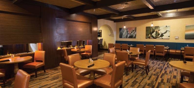 图森威廉姆斯中心希尔顿逸林套房酒店(DoubleTree Suites by Hilton Tucson - Williams Center)图片