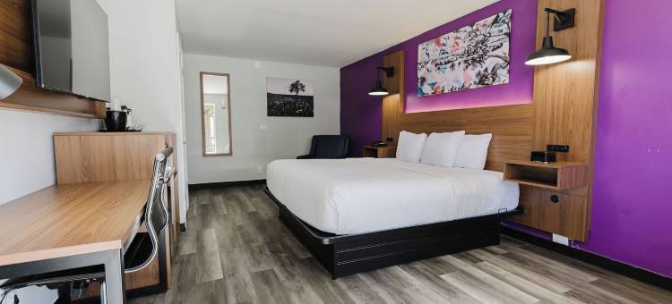 阿马里洛市中心拉昆塔温德姆酒店(La Quinta Inn by Wyndham Amarillo Mid-City)图片