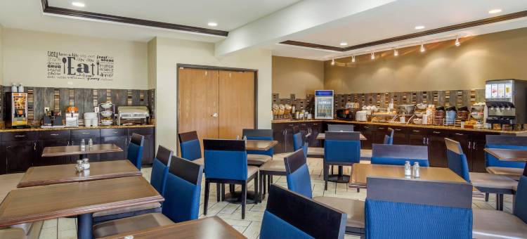 斯特灵舒适套房酒店(Comfort Inn & Suites Sterling)图片