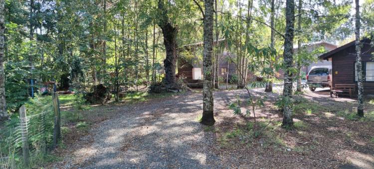 安特雷瓦列斯和佩利内斯(Entre Hualles y Pellines)图片