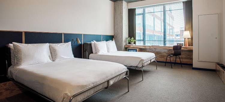 艾蜜莉酒店(The Emily Hotel)图片