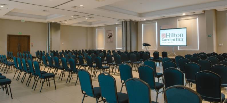 希尔顿花园酒店-博卡德尔里奥(Hilton Garden Inn Boca del Rio, Veracruz)图片