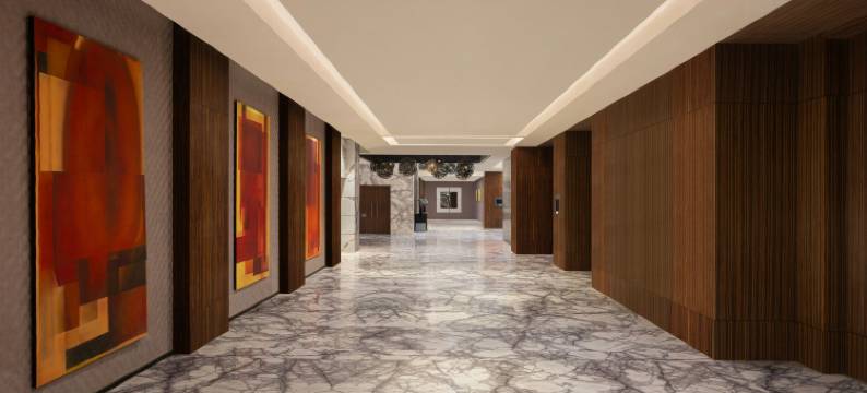 比拉斯布尔万怡酒店(Courtyard Bilaspur)图片