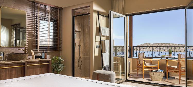 伊罗达塞莱娜酒店(Elounda Infinity Exclusive Resort & Spa - Adults Only)图片