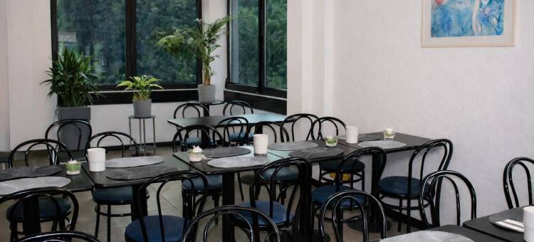 内西酒店洛迦诺(Hotel Nessi Locarno)图片