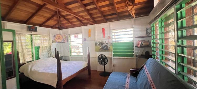 树顶海滨小屋(Treetop Beachfront Cabana)图片