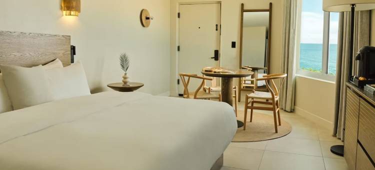 大西洋棕榈酒店(Ambros Daytona)图片