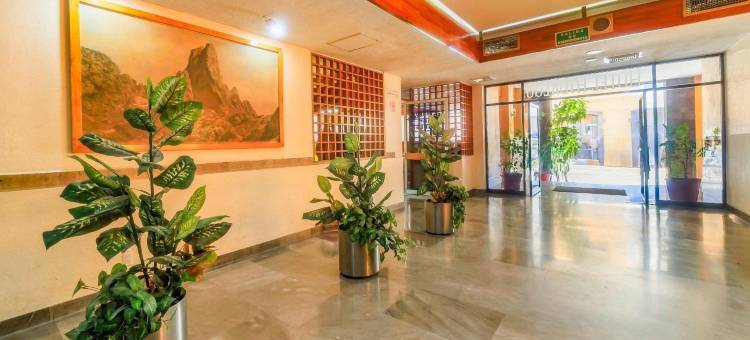 OYO伊达尔戈酒店(OYO Hotel Hidalgo)图片