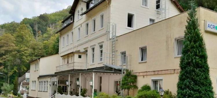 Astoria Hotel in Traben-Trarbach图片