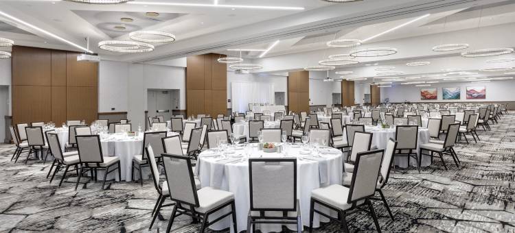 洲际皇冠假日酒店兰辛(Crowne Plaza LANSING by IHG)图片