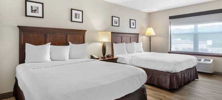 海勒姆丽怡酒店(Country Inn & Suites by Radisson, Hiram, GA)图片