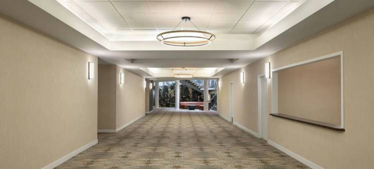 南埃德蒙顿福朋喜来登酒店(Four Points by Sheraton Edmonton South)图片