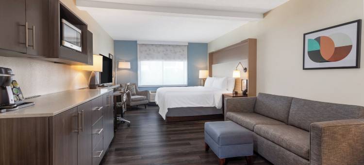 坦帕北部假日酒店(Holiday Inn TAMPA NORTH by IHG)图片