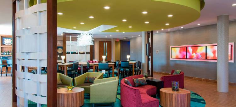 休斯敦舒格兰SpringHill Suites酒店(SpringHill Suites Houston Sugar Land)图片