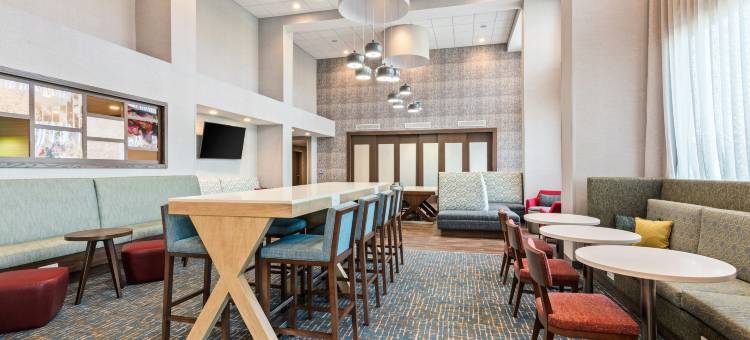 阿拉楚阿I-75欢朋套房酒店(Hampton Inn & Suites by Hilton Alachua I-75)图片