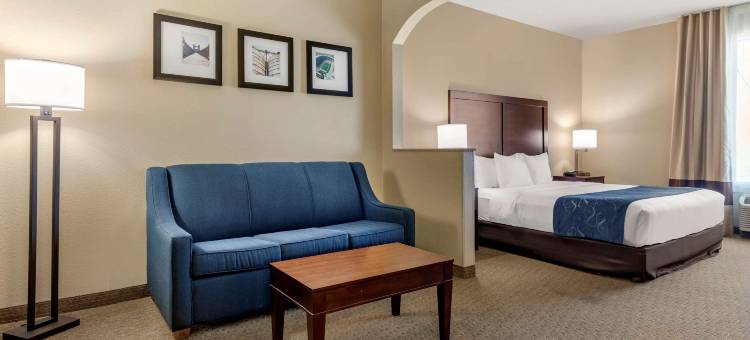 韦科舒适套房酒店-近大学区(Comfort Suites Waco Near University Area)图片