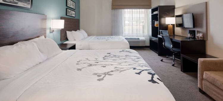 克林顿港舒眠旅馆 & 套房酒店(Sleep Inn & Suites Port Clinton)图片