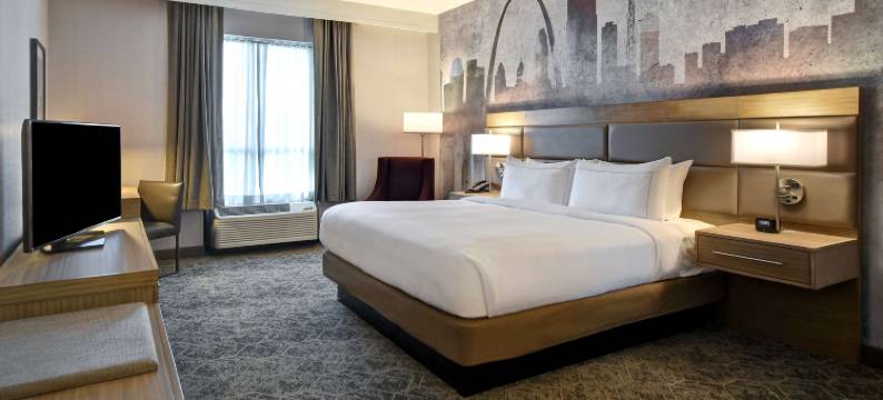 密苏里圣路易斯机场希尔顿逸林酒店(DoubleTree by Hilton St. Louis Airport)图片