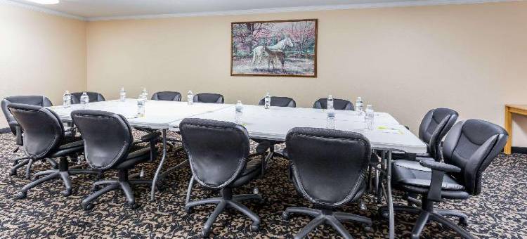 伊姆利市温德姆戴斯酒店(Days Inn by Wyndham Imlay City)图片