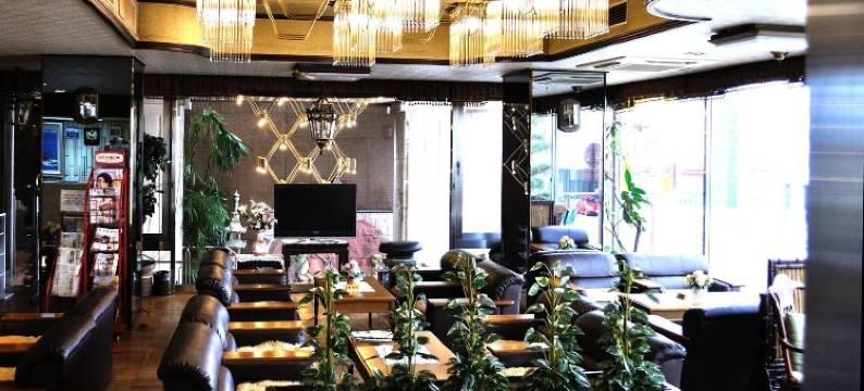 洛杉高知酒店(Hotel Los Inn Kochi)图片