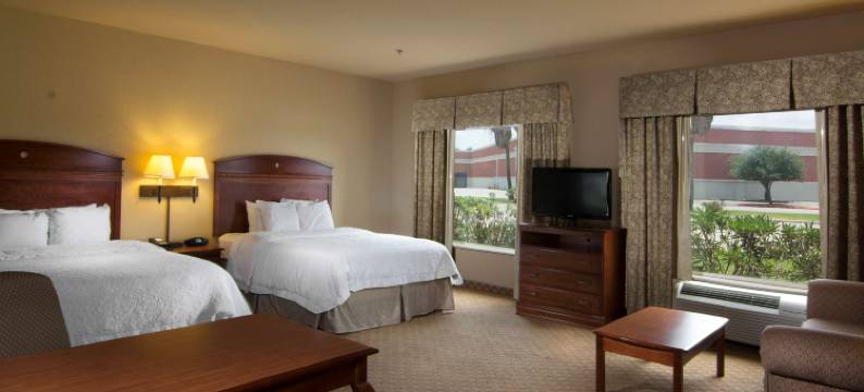 布朗斯维尔欢朋套房酒店(Hampton Inn & Suites Brownsville)图片