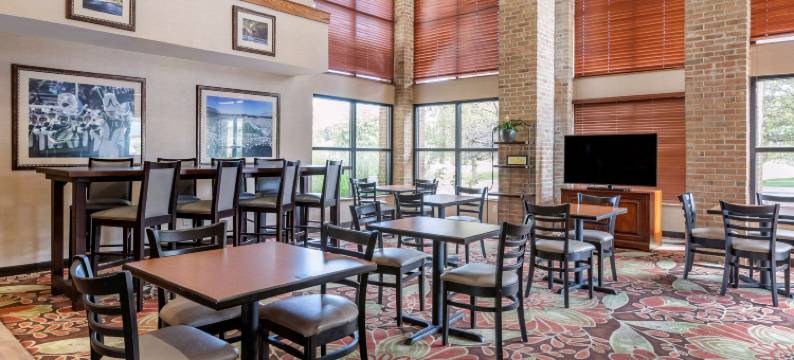 东兰辛奥克莫斯舒适酒店(Comfort Inn Okemos - East Lansing)图片