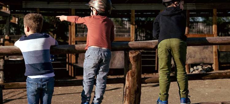 猎人谷度假村(Hunter Valley Resort, Hunter Farm Adventure Centre & 4 Pines at The Farm)图片