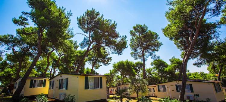 因迪杰区活动房酒店(Arena Indije Mobile Homes)图片