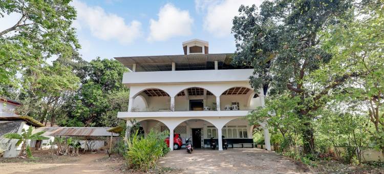 OYO 12929 Field View图片