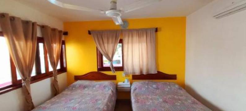 Posada Casa Bugambilias图片