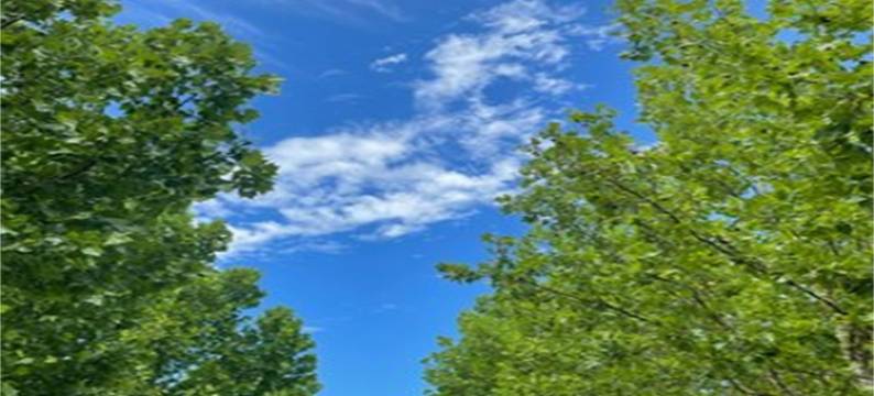 途家房东211012106275公寓(文艺路分店)图片