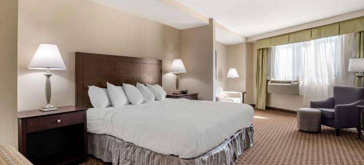 费城机场南-威得恩大学贝斯特韦斯特优质酒店(Best Western Plus Philadelphia Airport South at Widener University)图片