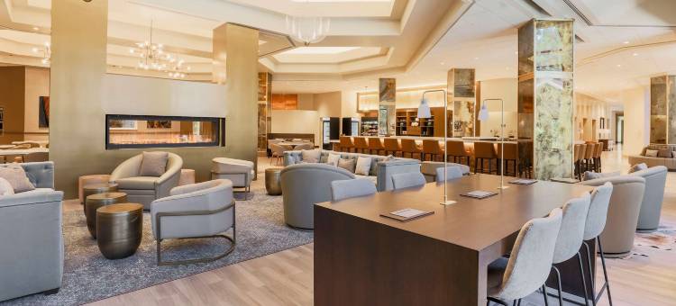 达拉斯理查森希尔顿酒店(Hilton Richardson Dallas)图片